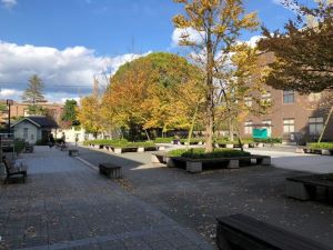 大学生